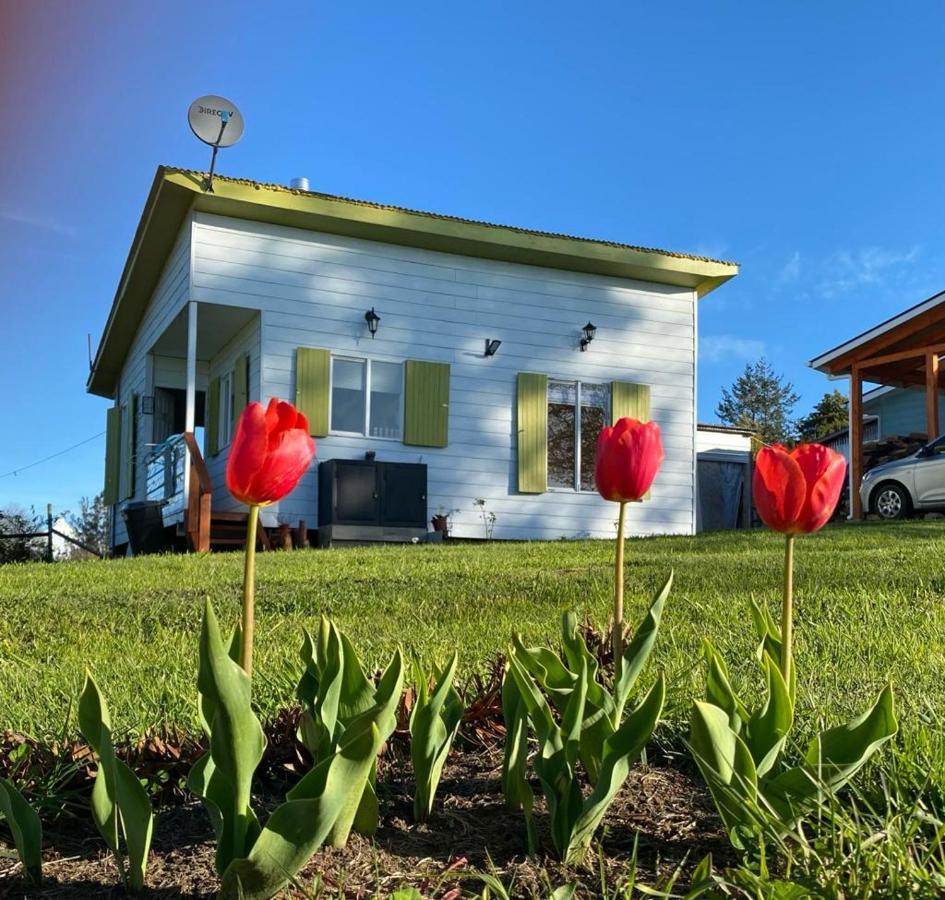 Cabanas Aliwen Villa Ñilque Екстериор снимка