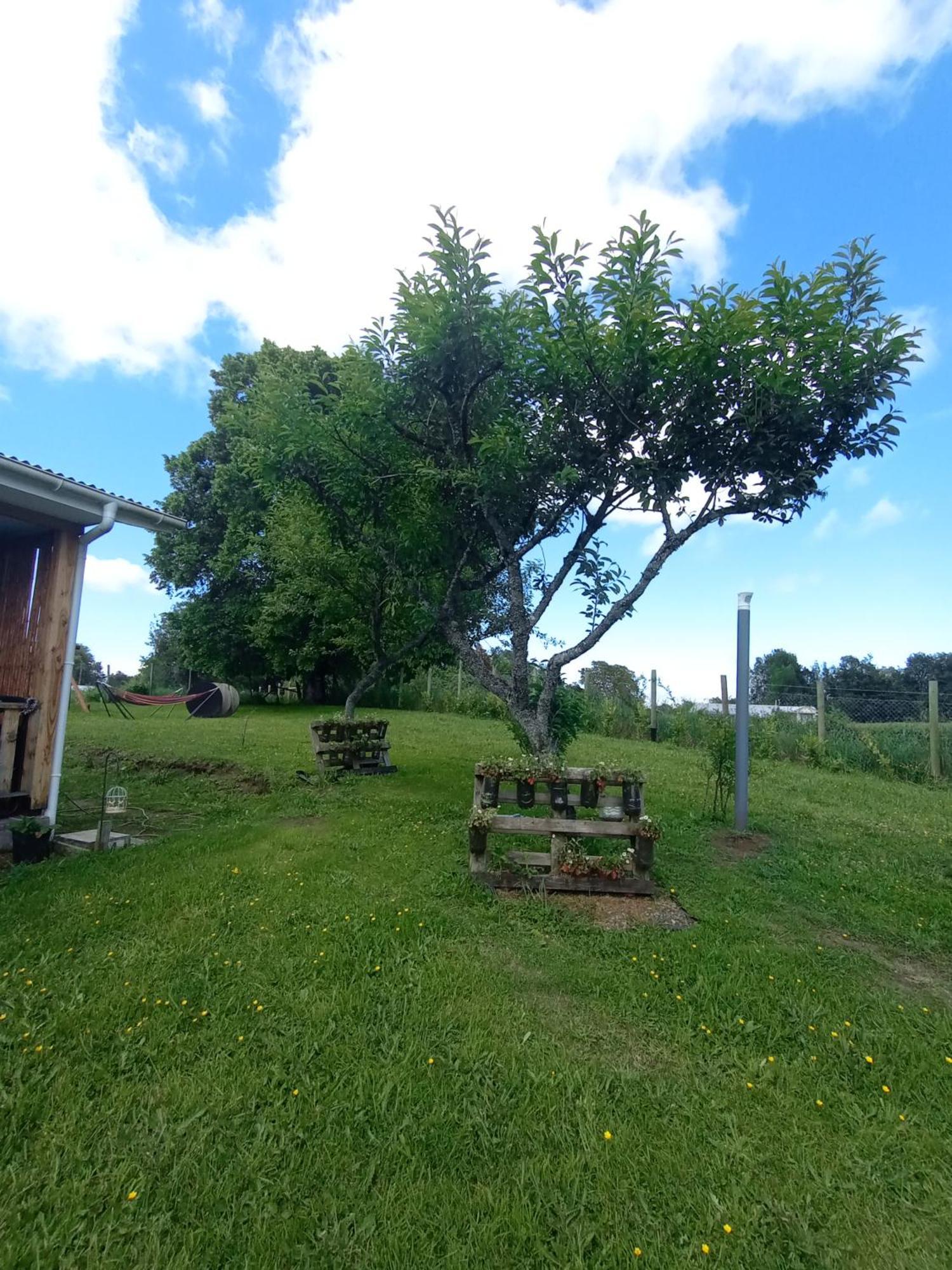 Cabanas Aliwen Villa Ñilque Екстериор снимка