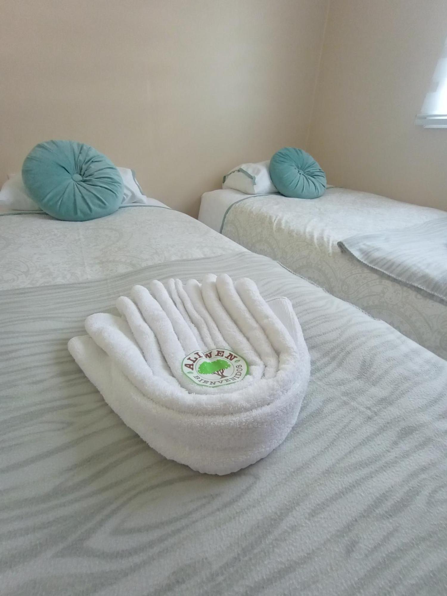 Cabanas Aliwen Villa Ñilque Екстериор снимка