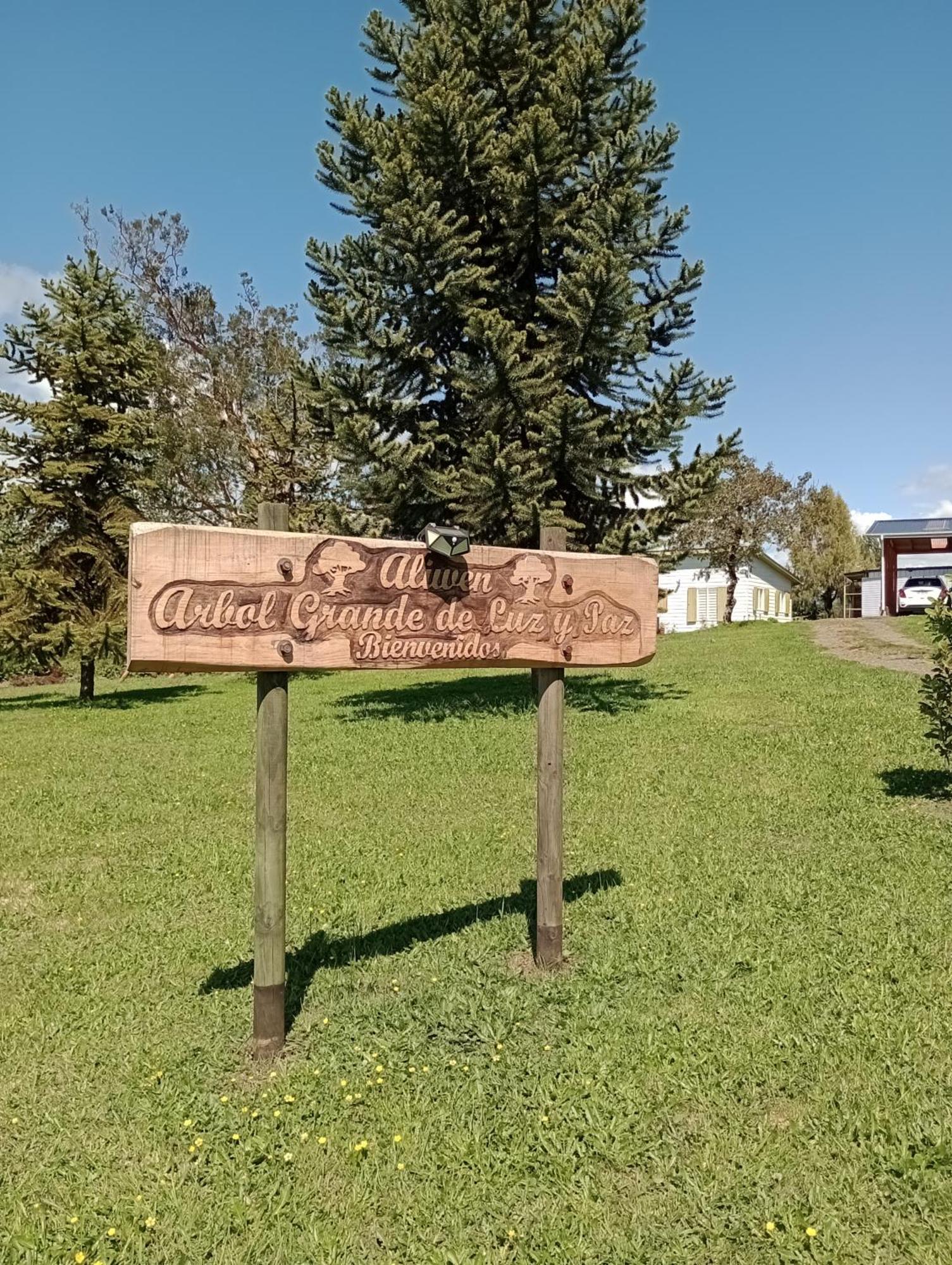 Cabanas Aliwen Villa Ñilque Екстериор снимка